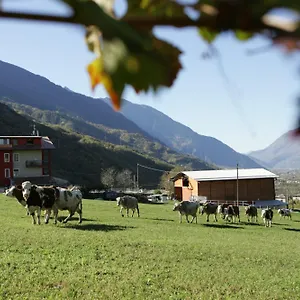 Stella Orobica Casa di campagna Albosaggia