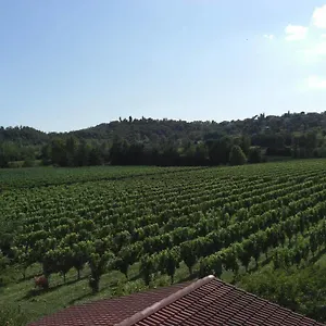 Il Vigneto Affittacamere Casa di campagna Manerba del Garda